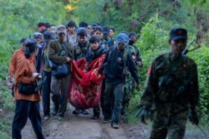Papa: que os instrumentos da guerra cedam lugar aos da paz