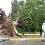 Leão XIV recorda as vítimas do furacão Melissa, na Jamaica