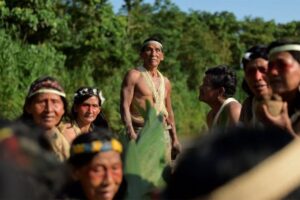 Metade dos povos indígenas isolados pode desaparecer em 10 anos