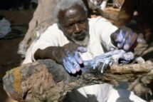 Ousmane Sow – O recriador de titãs