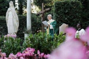 Papa a agrônomos e engenheiros florestais: cuidar da terra é um ato de amor