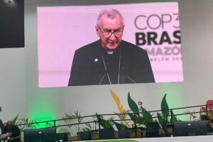 Cúpula do Clima, Parolin: objetivos do Acordo de Paris ainda distantes