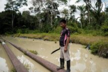 COP30: preservar a casa comum, porque nós não temos um plano B