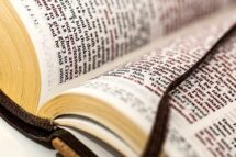 XXXIII Domingo do Tempo Comum