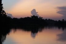 Docente da UFOPA: não deixar que a COP30 se transforme em balcão de recursos naturais