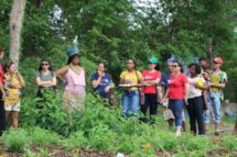 CNBB apoiou 234 projetos em 2025 de ecologia integral: mais de 900 mil pessoas beneficiadas