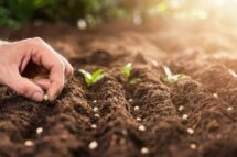 “Restarting the Economy”: evento global na Itália pelo retorno de uma “economia do suficiente”