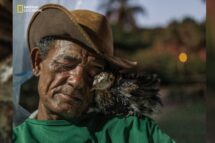 Imagem entre as melhores do ano expõe tragédia ambiental em Maceió: “Profundas rupturas sociais e emocionais”