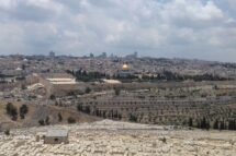 Igrejas da Terra Santa: permitir tratamento para crianças de Gaza com leucemia