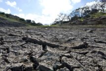 Serra Leoa, onde se trabalha pelo amor ao meio ambiente