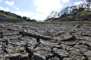 Serra Leoa, onde se trabalha pelo amor ao meio ambiente
