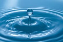 A necessidade da água para a Inteligência humana e artificial