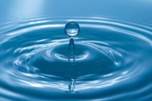 A necessidade da água para a Inteligência humana e artificial