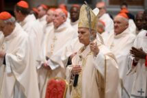 Papa: cardeais formam comunidade de fé, não equipe de especialistas