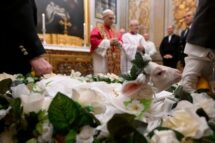 Apresentados ao Papa cordeiros cuja lã será usada para confeccionar os pálios