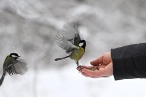 Ucrânia: combater o frio com o calor do voluntariado