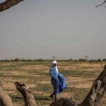 Estatuto para um novo impulso à missão da Fundação para o Sahel