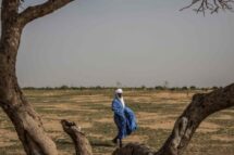 Estatuto para um novo impulso à missão da Fundação para o Sahel