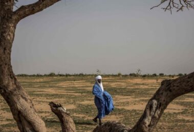 Estatuto para um novo impulso à missão da Fundação para o Sahel