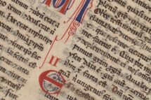 Reflexão para o 5º Domingo do Tempo Comum