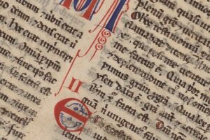 Reflexão para o 5º Domingo do Tempo Comum