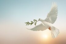 Antonio Cardoso na Canção e a Prece: “A Paz”