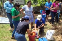 Em Honduras, sete cooperativas cultivam a esperança no “Corredor Seco”