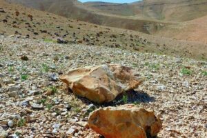 O deserto florescerá: o profundo e transformador sentido da Quaresma