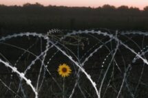 Entre desmentidos e alertas, os dias que precederam a invasão da Ucrânia