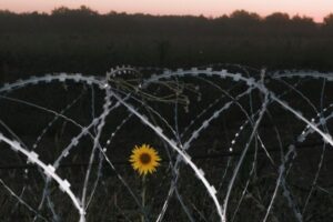 Entre desmentidos e alertas, os dias que precederam a invasão da Ucrânia