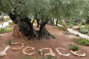 COMECE e UISG: oração para silenciar as armas no Oriente Médio