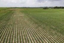 Santa Sé: modelos mais eficientes e sustentáveis para a produção agroalimentar