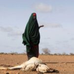 Somália, alerta da ONU para a nova crise alimentar