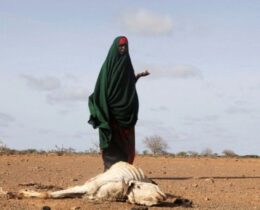 Somália, alerta da ONU para a nova crise alimentar