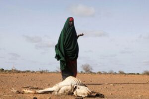 Somália, alerta da ONU para a nova crise alimentar