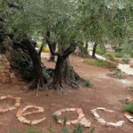 “Cientistas pela paz”, o apelo da Academia para a Vida para buscar caminhos para a paz