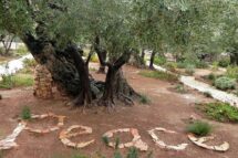 “Cientistas pela paz”, o apelo da Academia para a Vida para buscar caminhos para a paz