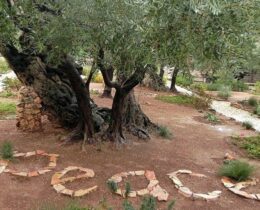 “Cientistas pela paz”, o apelo da Academia para a Vida para buscar caminhos para a paz