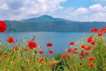 Há dores que não fazem barulho