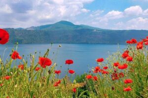 Há dores que não fazem barulho