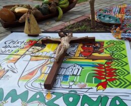 Raio-X da Igreja Católica na Amazônia: organização, missão e horizonte sinodal