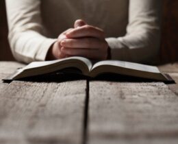 CNBB: 19 de março é dia de rezar pelo desarmamento e pela paz