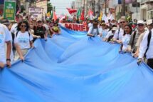 Programa on-line do Movimento Laudato si’ abre inscrições para 2026