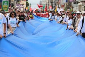 Programa on-line do Movimento Laudato si’ abre inscrições para 2026