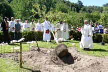 Lusofonias – Da Ginkgo Biloba à Flor da Amendoeira