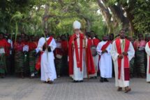 “Viver a Semana Santa com confiança e amor”: Arcebispo da Beira no Domingo de Ramos