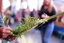 América Latina: carta dos bispos para a Semana Santa