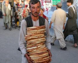 Santa Sé: o progresso deve garantir o acesso sustentável aos alimentos