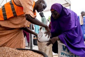 Leigos católicos e o verdadeiro desenvolvimento da Nigéria