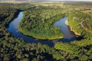 Nasce o Observatório pelo Ambiente: “a tecnologia deve sustentar a paz”